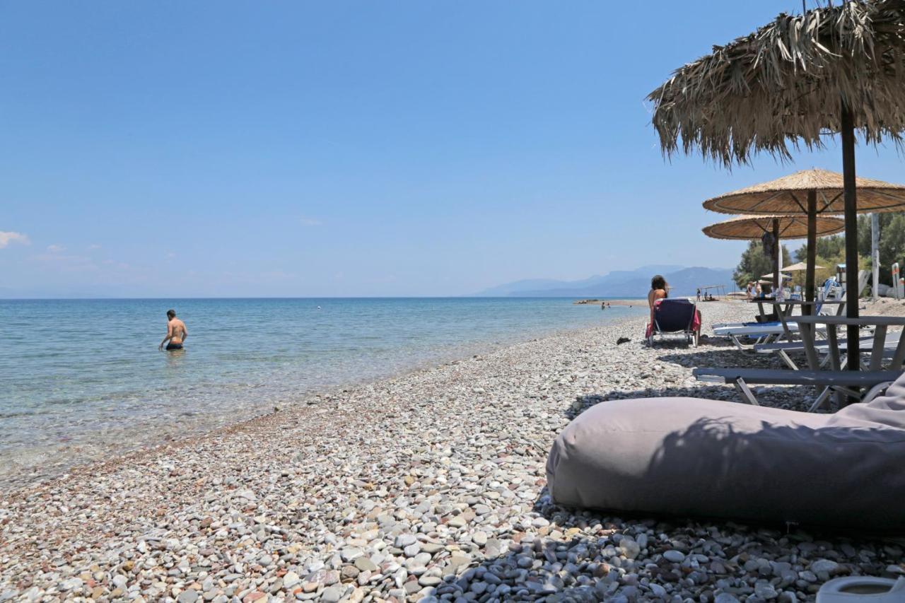 Oliva Holiday Homes Dhiyellótika Exteriér fotografie